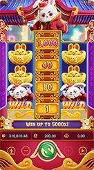66ns · Fortune Rabbit